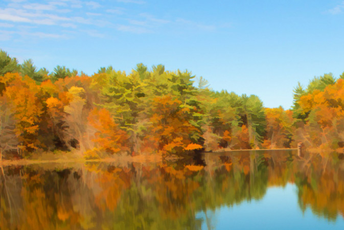 Fall lake and trees.